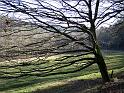 2014-03-09,_Polenztal (13)